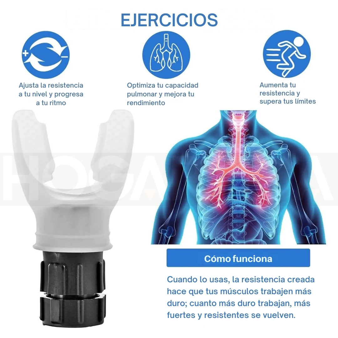 Encabezado