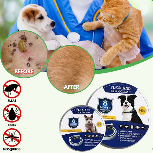 Collar EctoBlok Pet® 8 Meses de Protección Segura y Natural Para tu Peludo