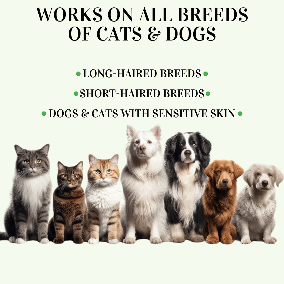 Collar EctoBlok Pet® 8 Meses de Protección Segura y Natural Para tu Peludo