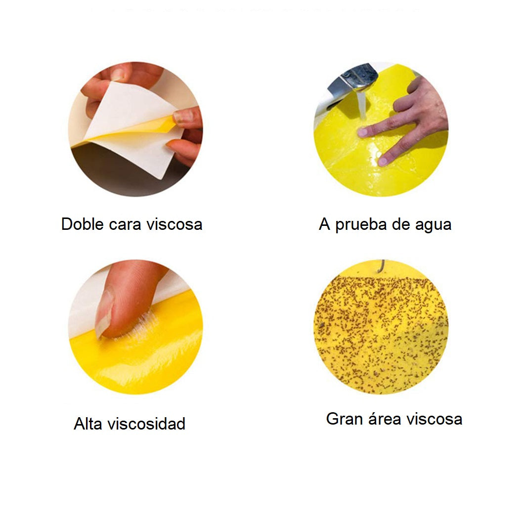 TrampiPlant™|Trampas Adhesivas Doble Cara X10