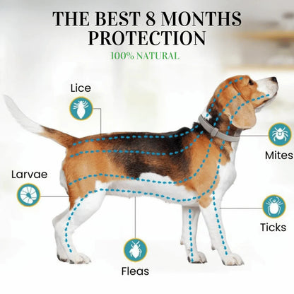 Collar EctoBlok Pet® 8 Meses de Protección Segura y Natural Para tu Peludo