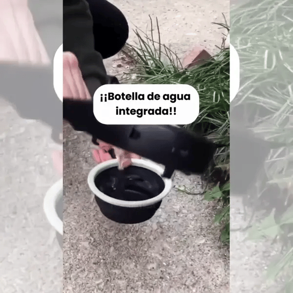 Encabezado