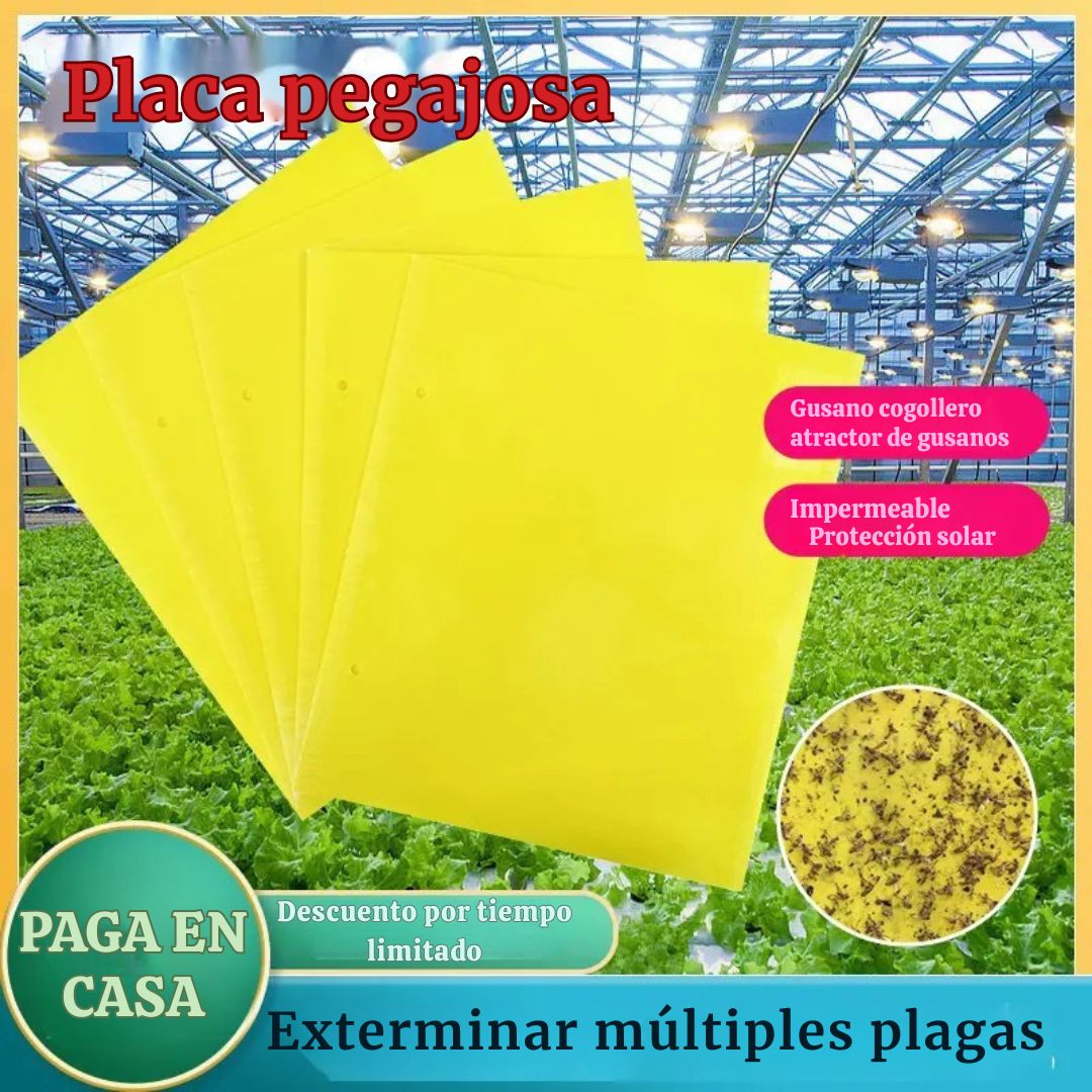 TrampiPlant™|Trampas Adhesivas Doble Cara X10