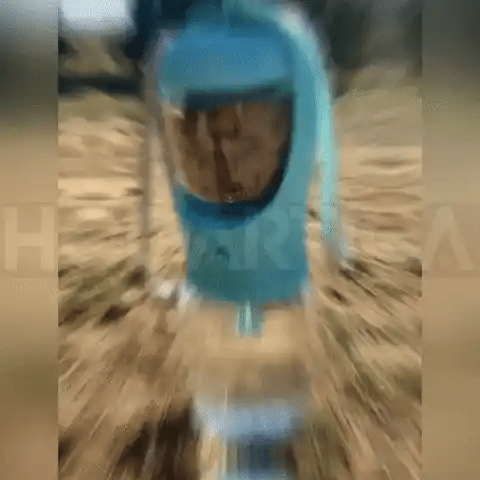 Encabezado