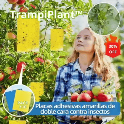 TrampiPlant™|Trampas Adhesivas Doble Cara X10