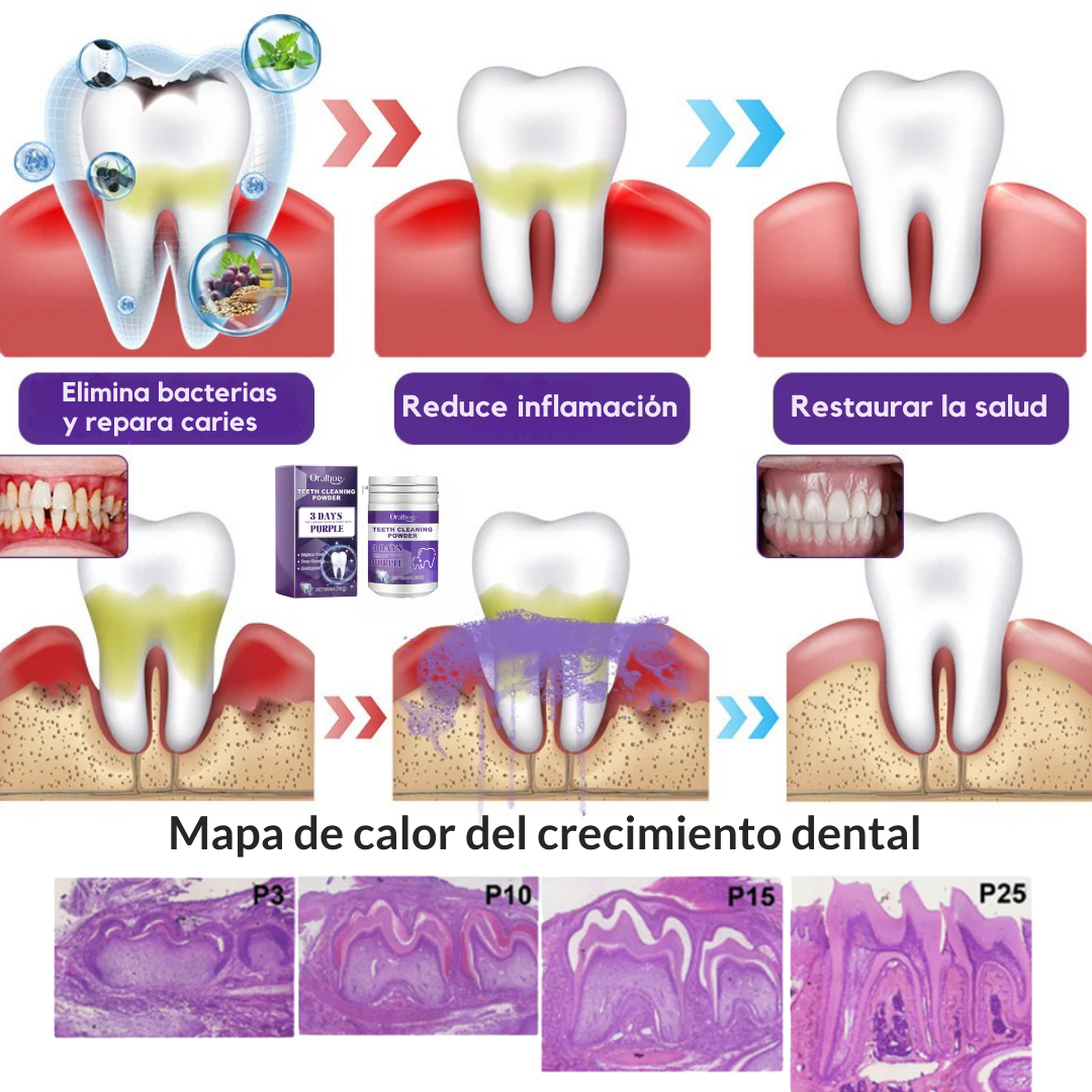 🦷 Oralevo® Más frescura y limpieza con cada cepillado  ✨