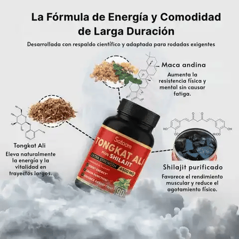 Encabezado
