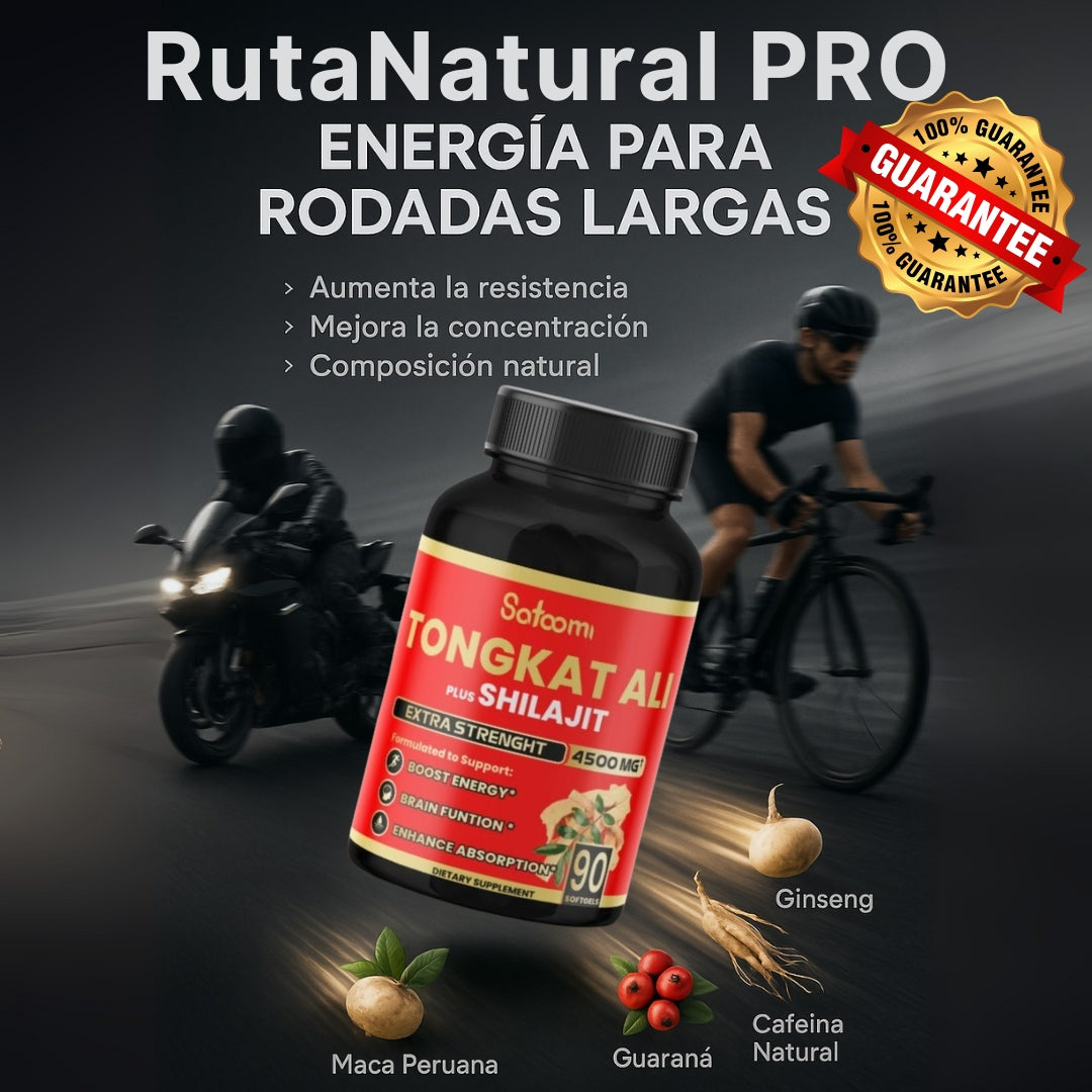 Encabezado