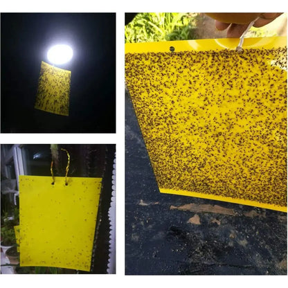 TrampiPlant™|Trampas Adhesivas Doble Cara X10