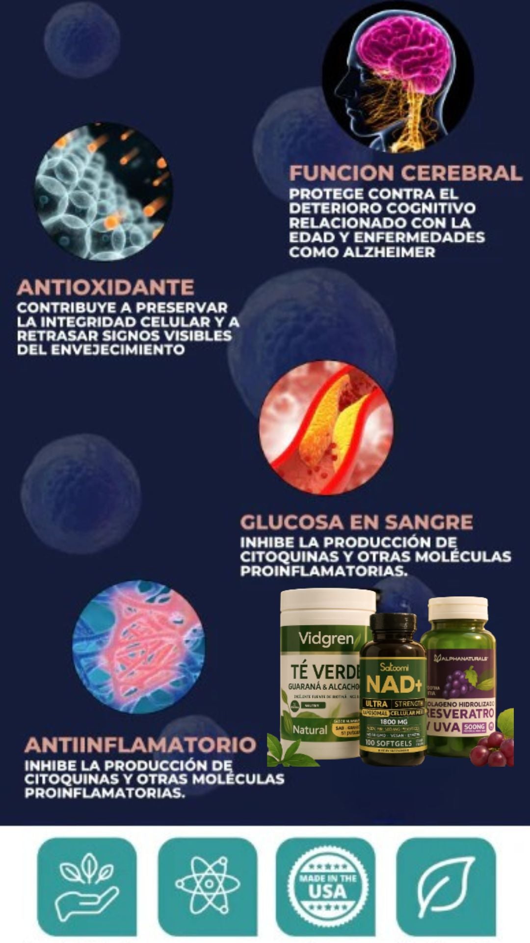 Encabezado
